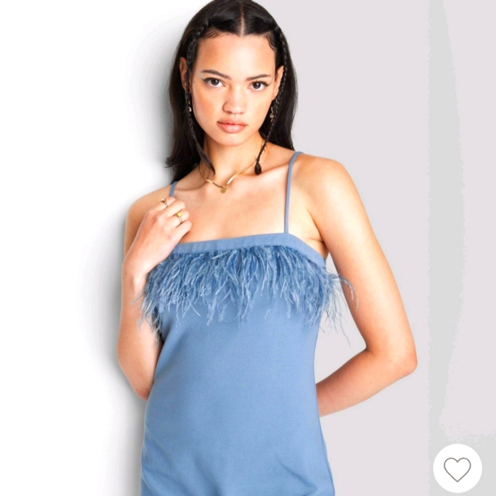 Wild Fable Blue Feathered BodyCon Dress